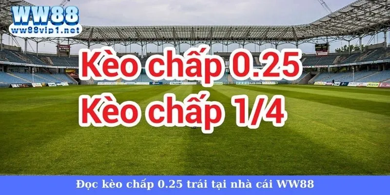 Kèo châu Á WW88 - Giải mã loại kèo cực hot hiện nay 4 Bí quyết chơi kèo châu Á chuyên nghiệp tại WW88