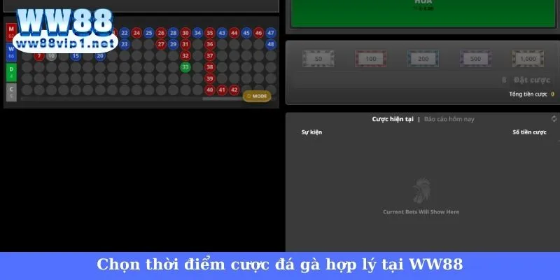 Trực tiếp đá gà hôm nay WW88 - Điểm đến thú vị cho kê thủ 5 Lựa chọn thời điểm cược đá gà hợp lý