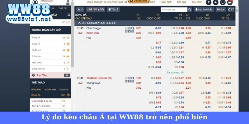 Kèo châu Á WW88 - Giải mã loại kèo cực hot hiện nay 1 Giải mã kèo châu Á tại nhà cái WW88