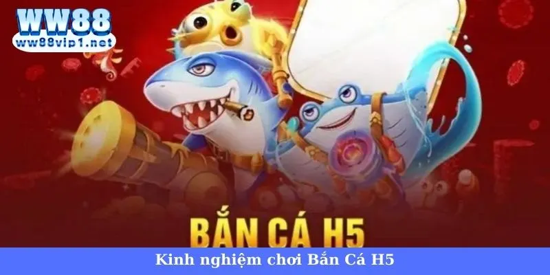 Bắn Cá H5 - Thế giới đại dương săn kho báu cực khủng 4 Vũ khí trong Bắn Cá H5 săn thưởng dễ dàng