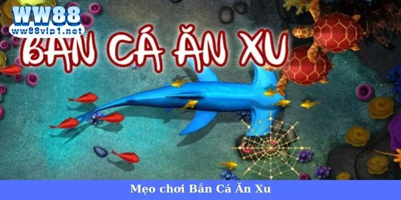 Chiến lược chơi Bắn Cá Ăn Xu để tối đa hóa điểm thưởng 4 Chiến thuật chơi Bắn Cá Ăn Xu chắc thắng