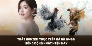 Trải Nghiệm Trực Tiếp Đá Gà WW88 Sống Động Nhất Hiện Nay